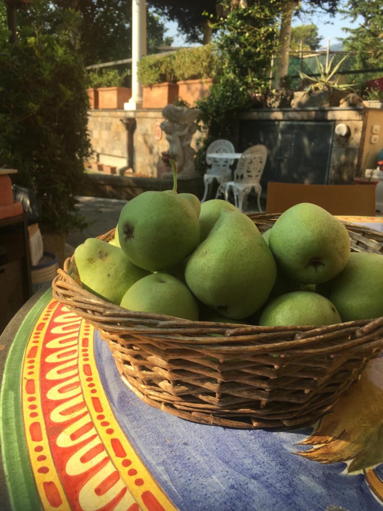 Domus Felix Bed and Breakfast Sorrento Buitenkant foto