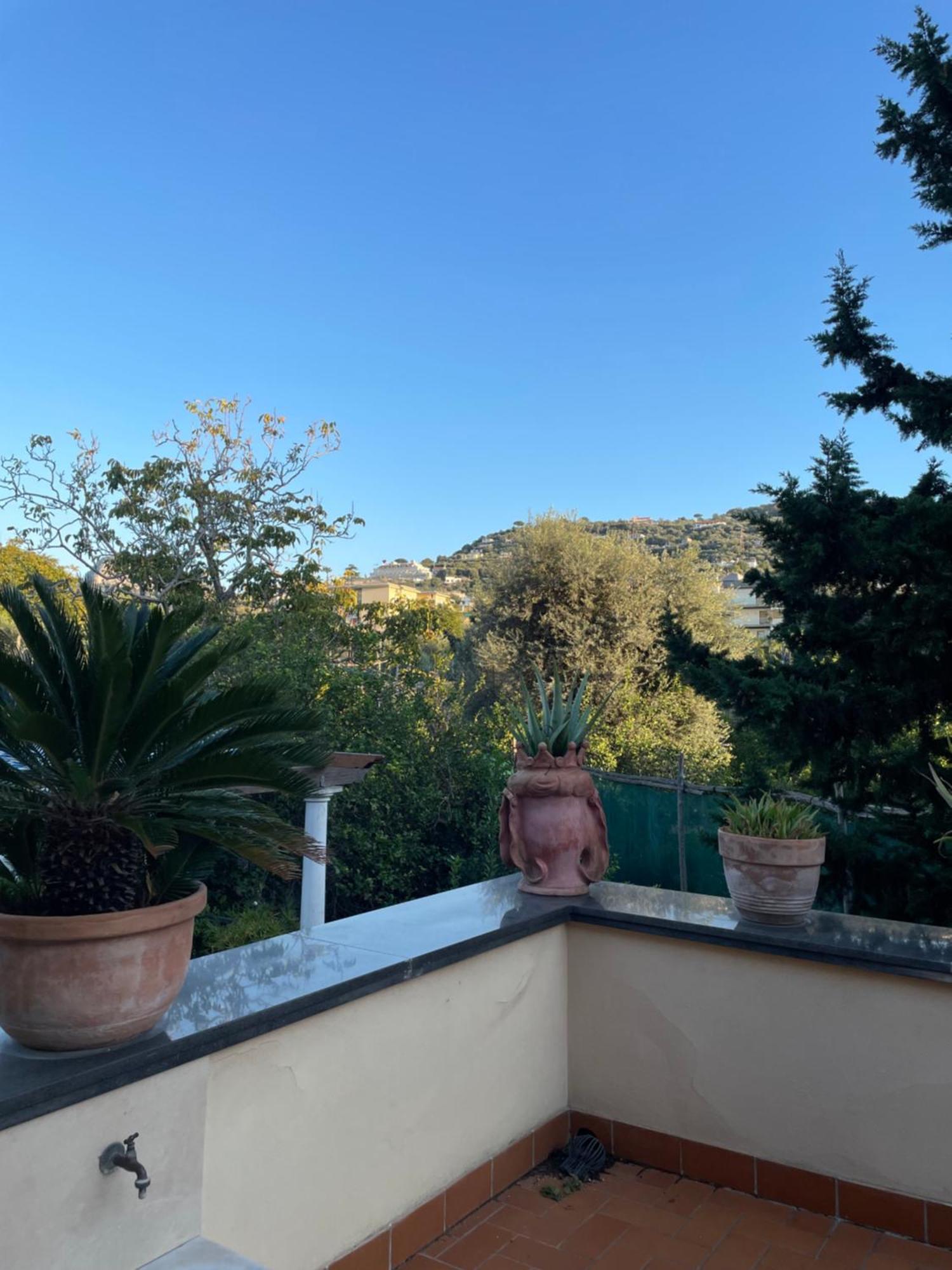 Domus Felix Bed and Breakfast Sorrento Buitenkant foto